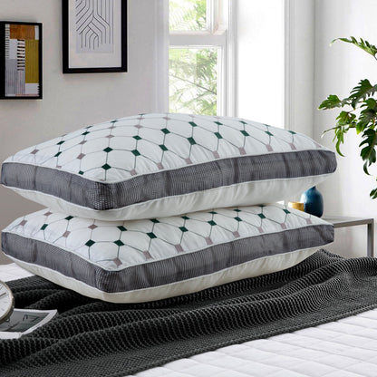 Pack of 2 luxury Decorative pillows - Green & Grey