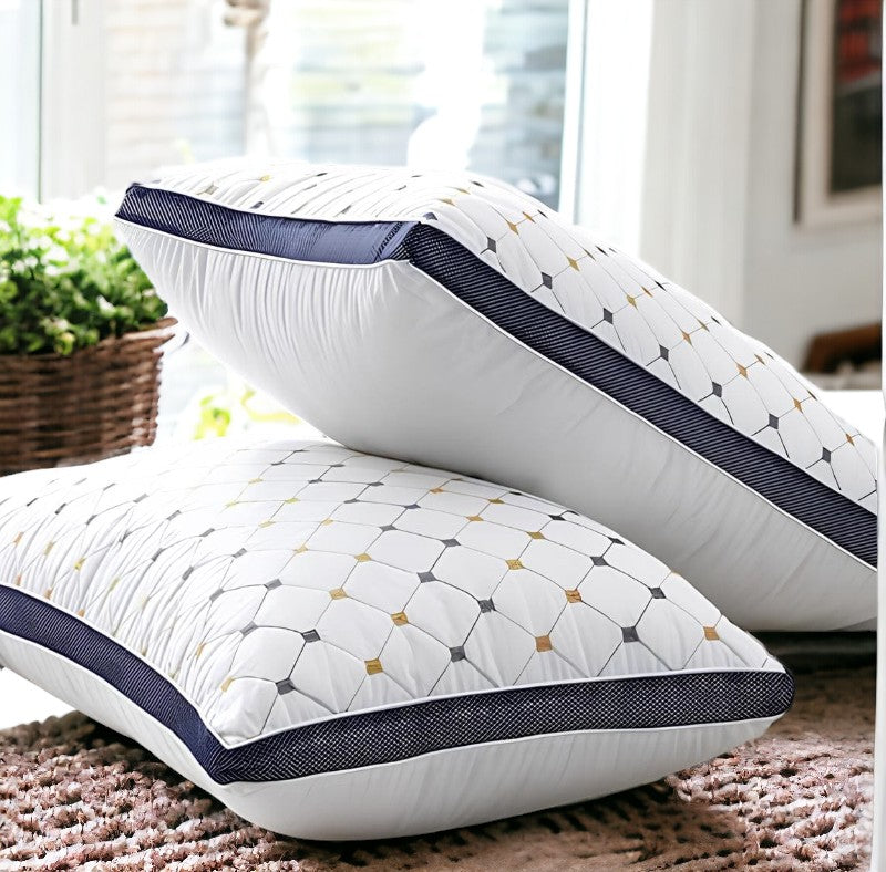 Pack of 2 luxury Decorative pillows