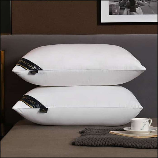 Pack of 2 Filled Pillow